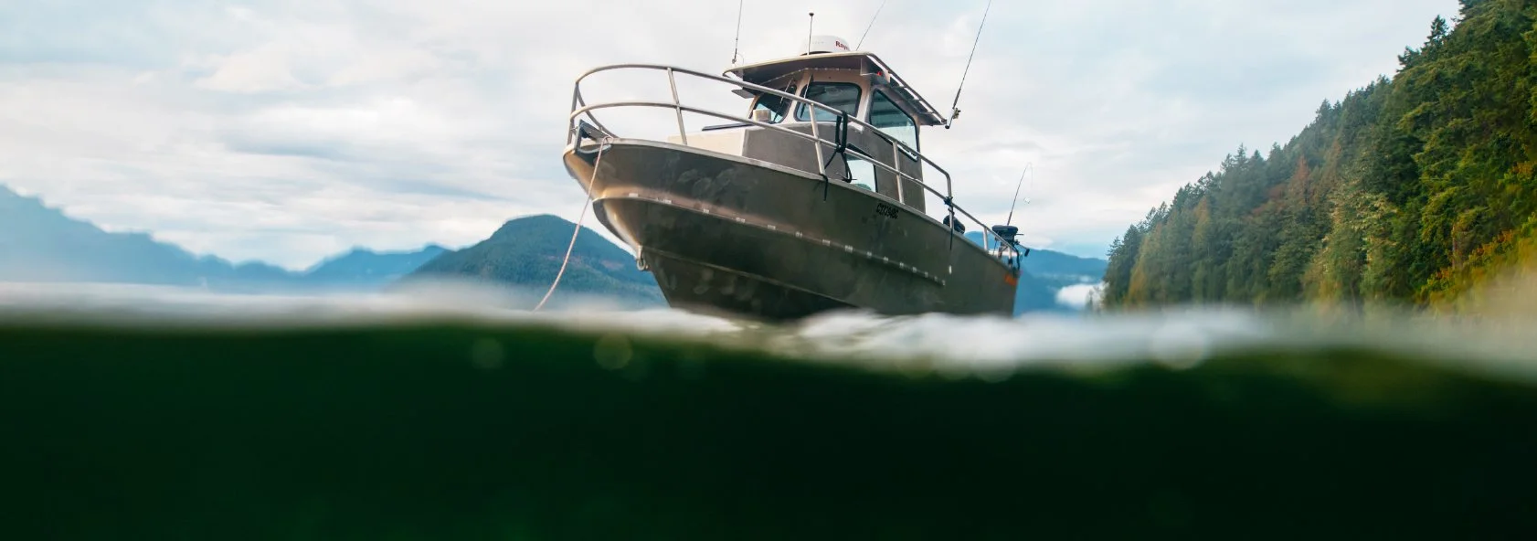 Mark Selective Salmon Fisheries — Salmon Forever